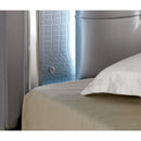  Furniture of America Bellanova CM7979SV 6 pc California King Upholstered Panel Bedroom Set IMAGE 4