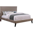  Furniture of America Janis Queen Upholstered Panel Bed CM7676Q-BED IMAGE 1