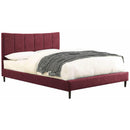  Furniture of America Ennis Full Upholstered Panel Bed CM7678RD-F-BED IMAGE 2