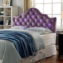  Furniture of America Bed Components Headboard CM7404PR-HB-K IMAGE 1