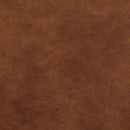  Furniture of America Nogales Leather Recliner CM6571-CH IMAGE 3