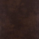 Furniture of America Pollux Reclining Leatherette Loveseat CM6981BR-LV IMAGE 3