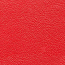  Furniture of America Reanna Stationary Leatherette Loveseat CM6414RD-LV IMAGE 4