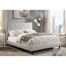  Furniture of America Estarra Queen Panel Bed CM7073GY-Q-BED IMAGE 1