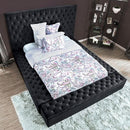  Furniture of America Davida Queen Upholstered Platform Bed with Storage CM7897DG-Q-BED IMAGE 3