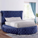  Furniture of America Sansom CM7178BL-Q-BED Queen Bed IMAGE 1