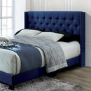  Furniture of America Jenelle Twin Upholstered Platform Bed CM7216NV-T IMAGE 1