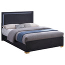  Coaster Furniture Marceline 222831Q Wood Queen LED Panel Bed - Black IMAGE 4