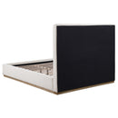  Coaster Furniture Knox 302053Q Upholstered Queen Panel Bed - Cream IMAGE 4