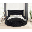 Furniture of America Delilah CM7177BK-Q Queen Bed IMAGE 4