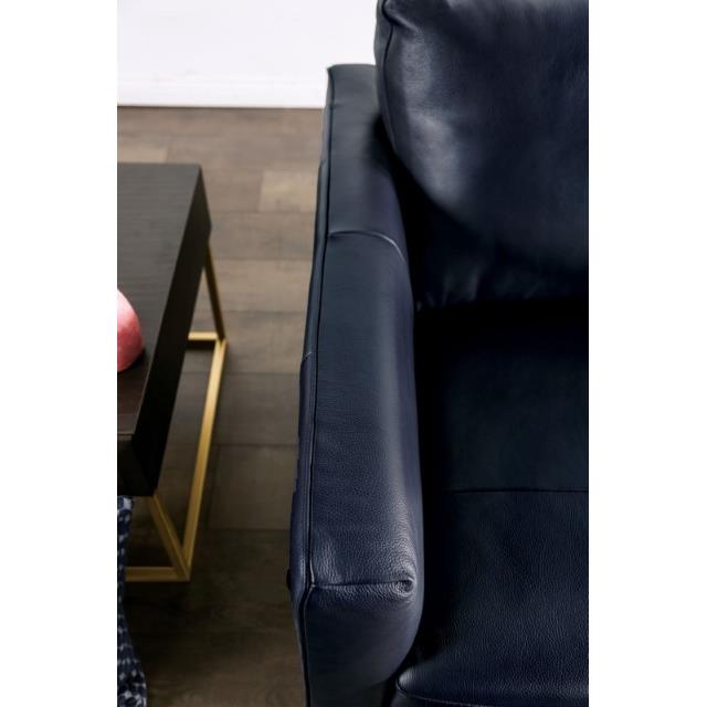 Furniture of America Mezzanotte Loveseat FM90000-LV-PK IMAGE 5