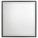  Coaster Furniture Lucia 224994 Dresser Mirror - Black IMAGE 3