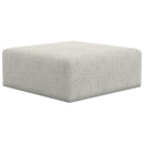  Jackson Furniture Tori 224028 Cocktail Ottoman 46" - Birch IMAGE 1