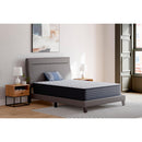  Ashley Sleep Anniversary Edition Firm M42041 King Mattress IMAGE 2